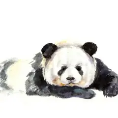 Tatuaż panda znaczenie - odkryj głębokie symbole i ich znaczenie