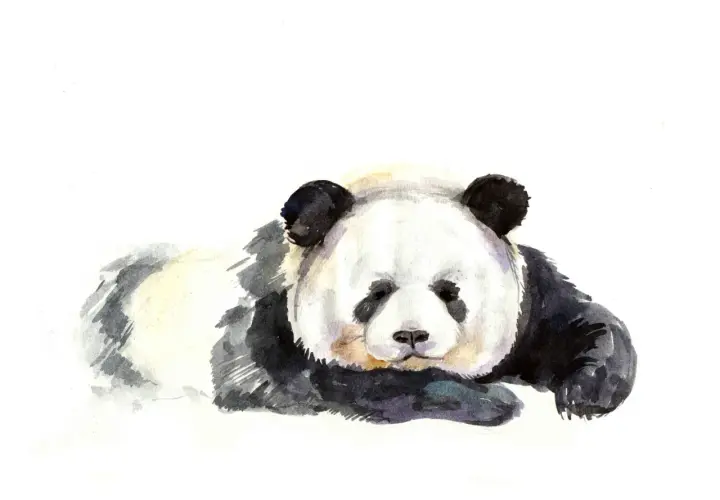 Tatuaż panda znaczenie - odkryj głębokie symbole i ich znaczenie