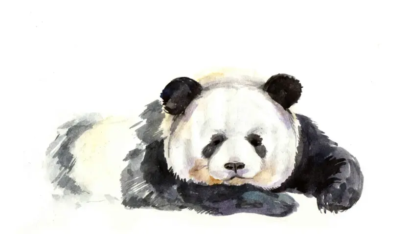 Tatuaż panda znaczenie - odkryj głębokie symbole i ich znaczenie