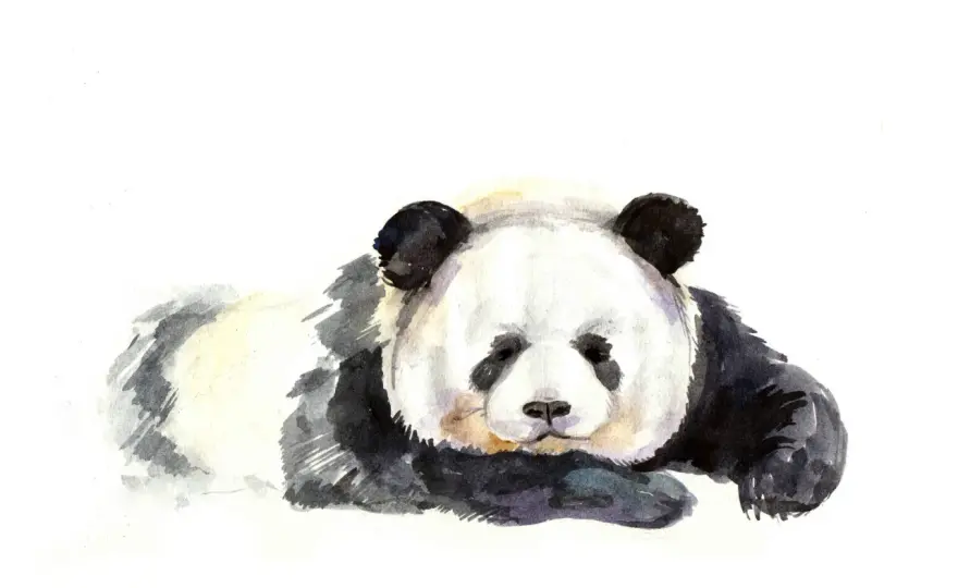 Tatuaż panda znaczenie - odkryj głębokie symbole i ich znaczenie