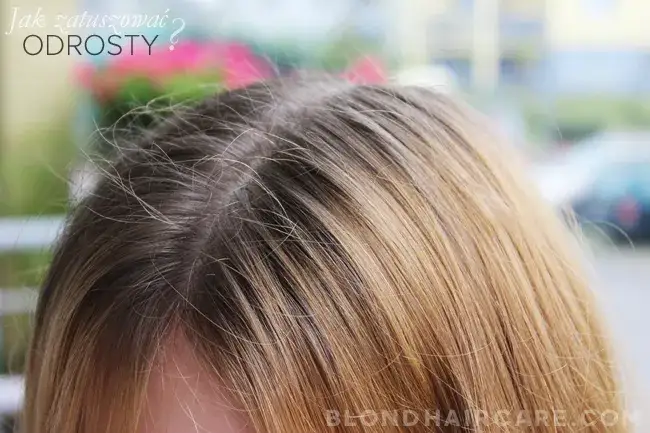 Zdjęcie Jak zrobic odrost na blond wlosach bez widocznych różnic kolorystycznych